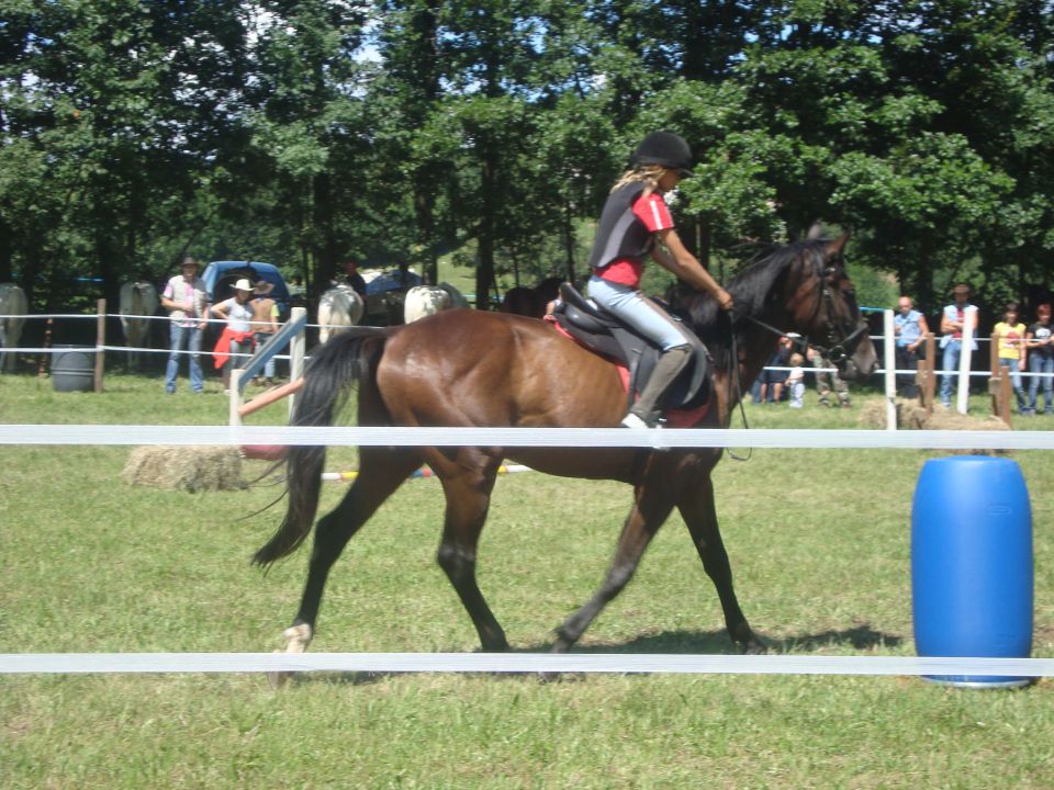 Konjske dirke-banjšice 2009 - foto povečava