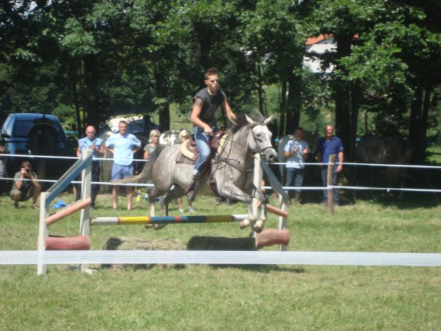 Konjske dirke-banjšice 2009 - foto