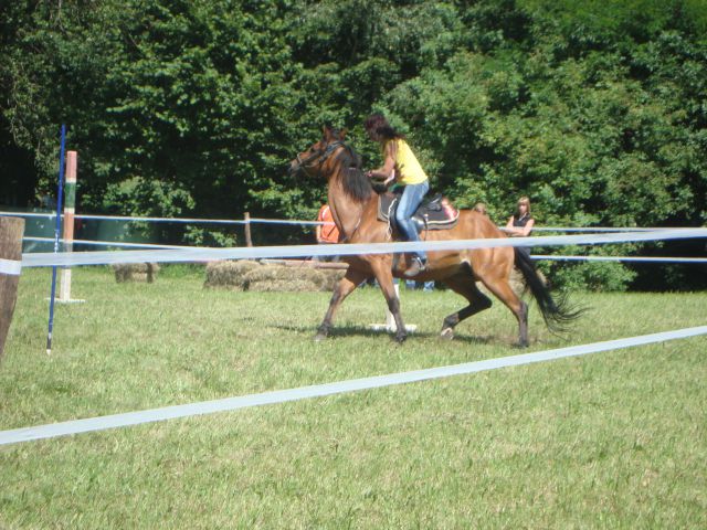 Konjske dirke-banjšice 2009 - foto