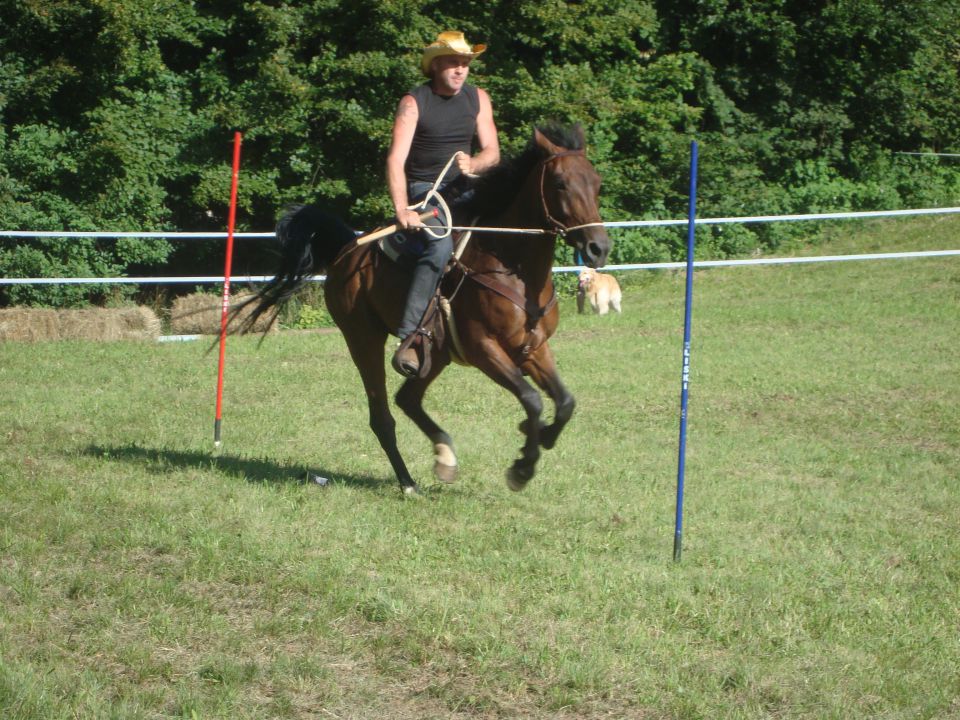 Konjske dirke-banjšice 2009 - foto povečava
