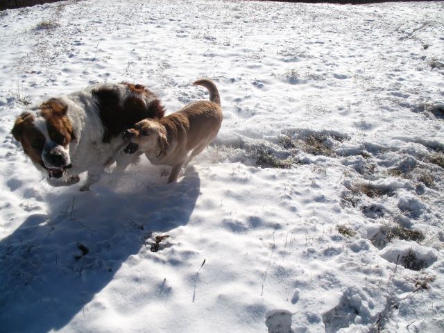 Ron & Kala na snegu-2010 - foto