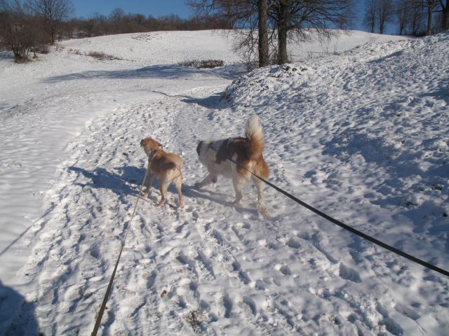 Ron & Kala na snegu-2010 - foto