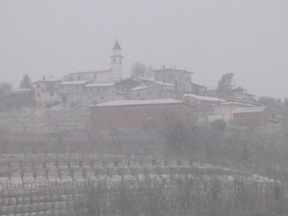 Snežni sprehod  4.1.2010 (Goriška brda) - foto povečava