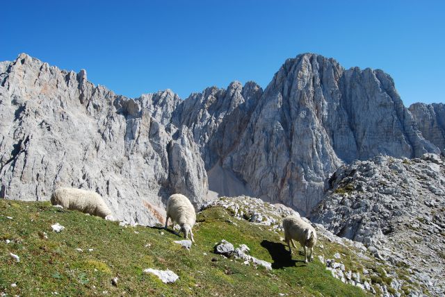 Špik - foto