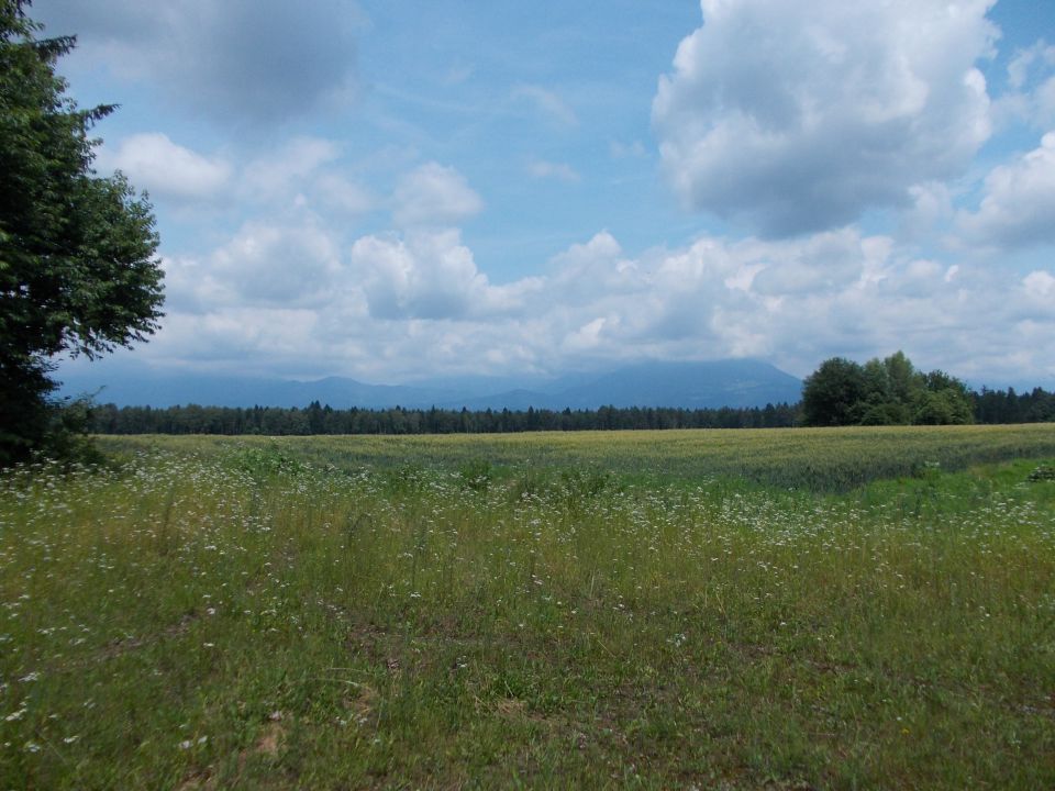 Raketni položaj Valburga - foto povečava