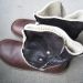 Škornji Kickers, št. 38, 20 eur