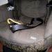 Maxi cosi Tobi avtosedež, 70 eur