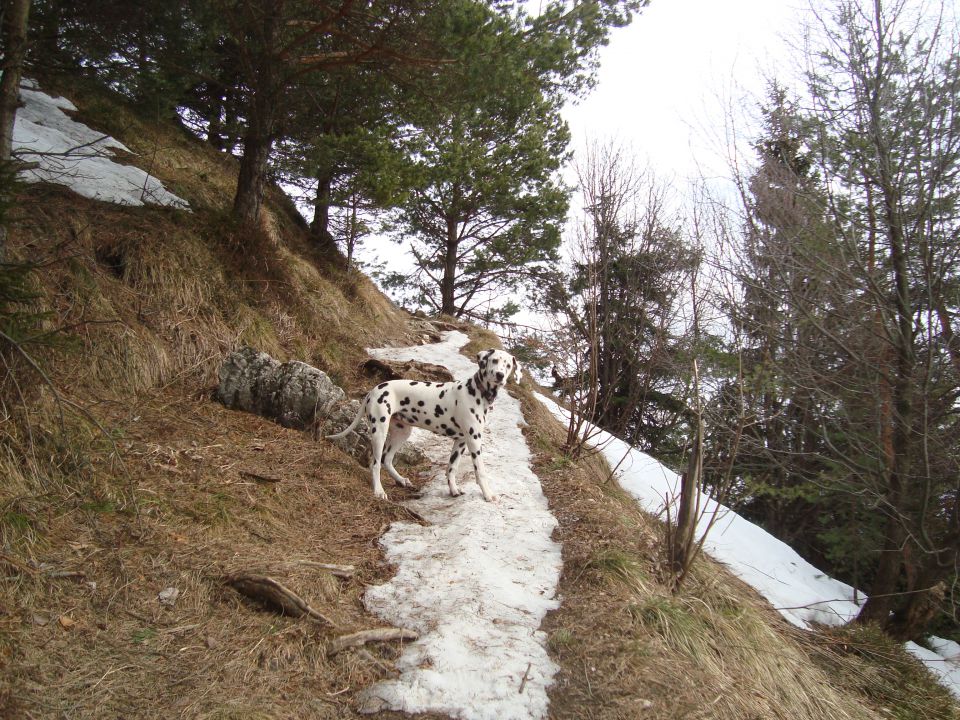 Sali, Vrga - foto povečava