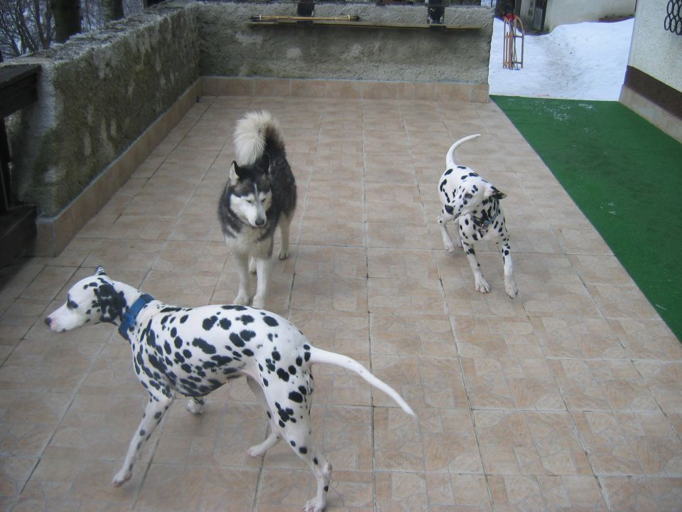 Sali, Vrga - foto povečava