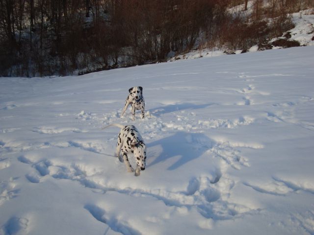 Sali, Vrga - foto