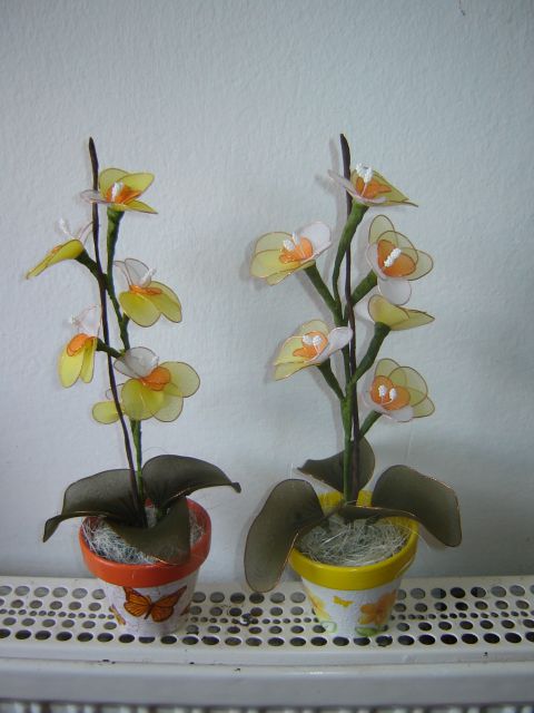 Mini orhidejce