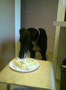 Tay torta - foto