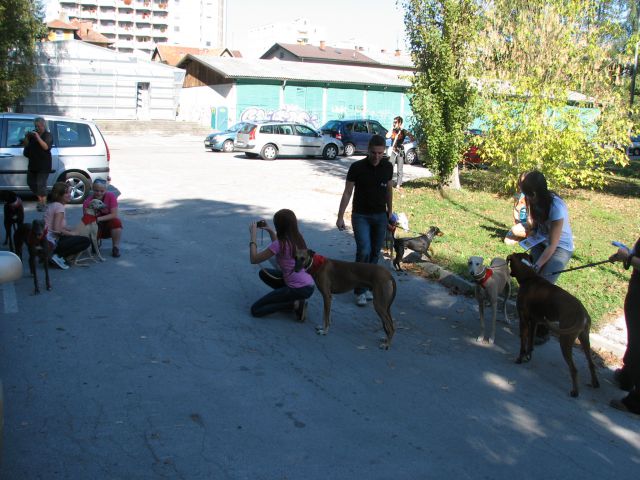 CELJE društveni sprehod - foto