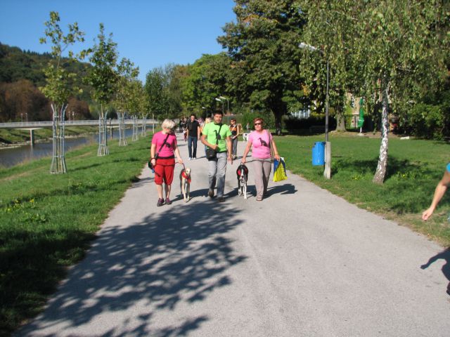 CELJE društveni sprehod - foto