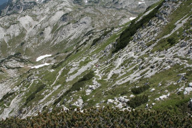 Točno na sredini fotografije sva