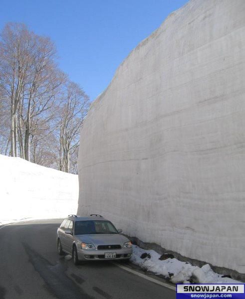 Snow on Japan - foto povečava