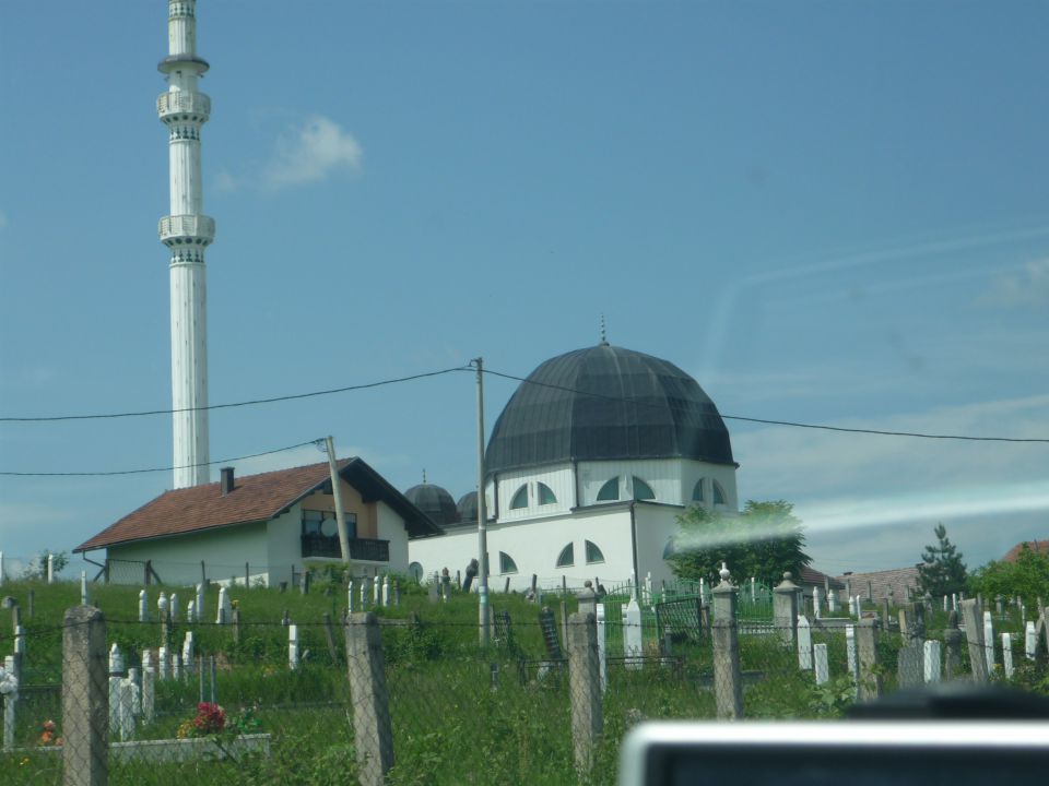 Vse sorte - foto povečava