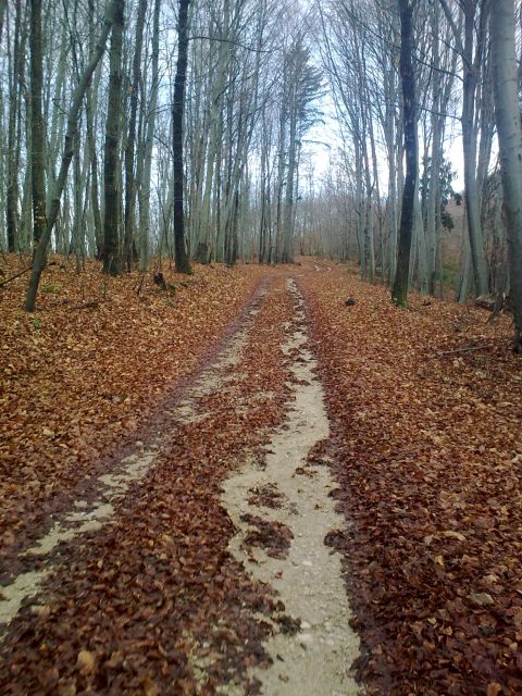 CIRNIK - foto