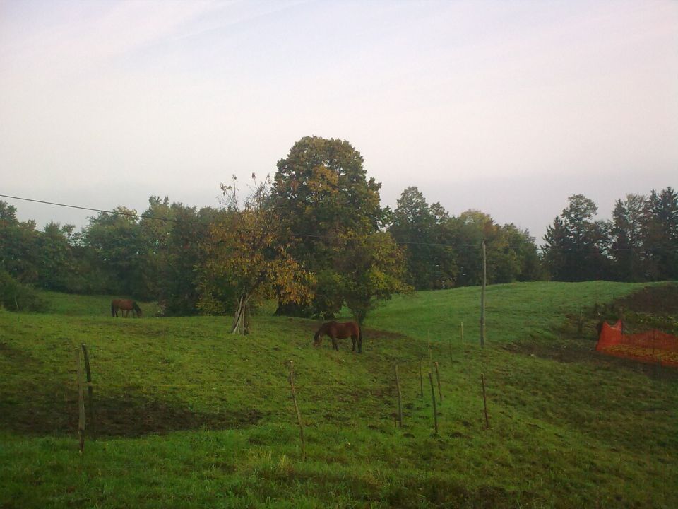 PLANINA V PODBOČJU - foto povečava