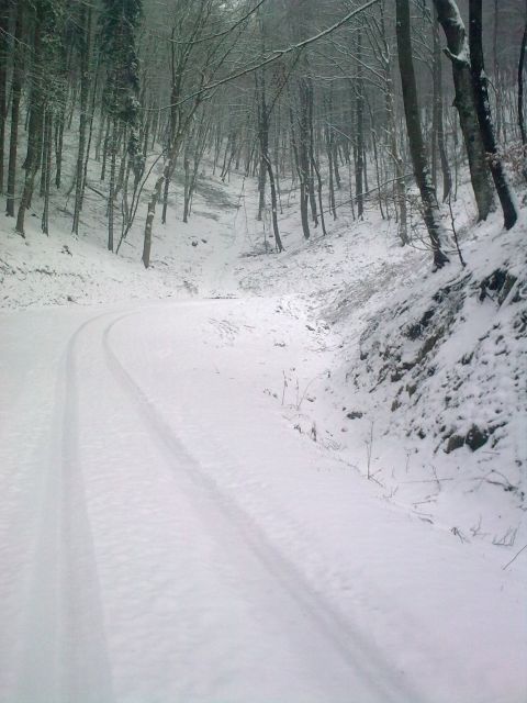 Zima,zima bela - foto