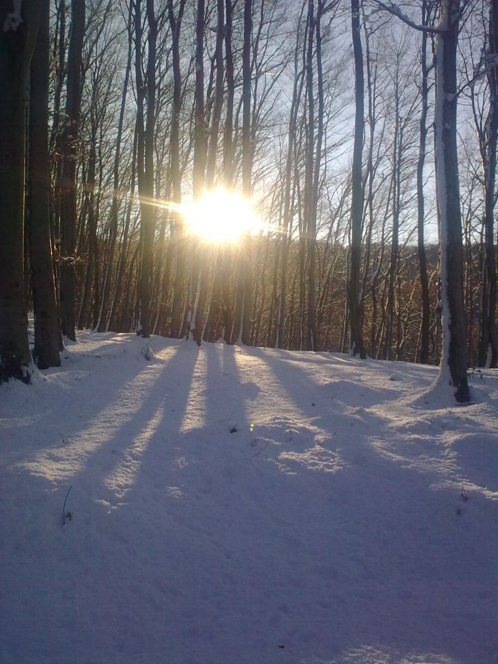 Natura - foto povečava