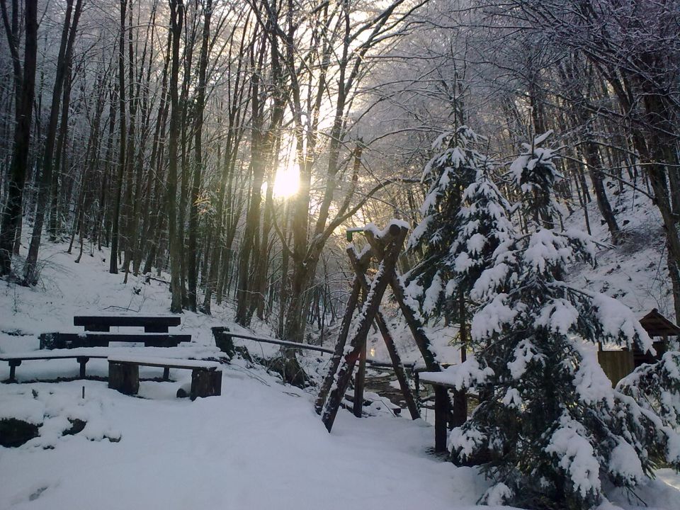 Natura - foto povečava