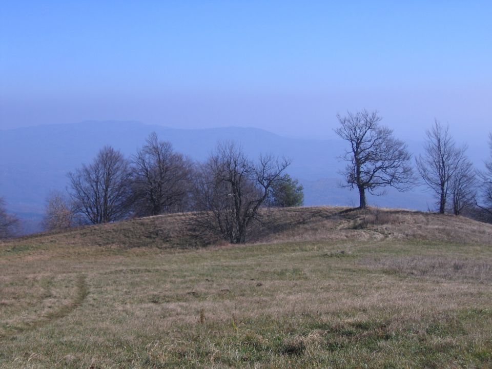 Natura - foto povečava