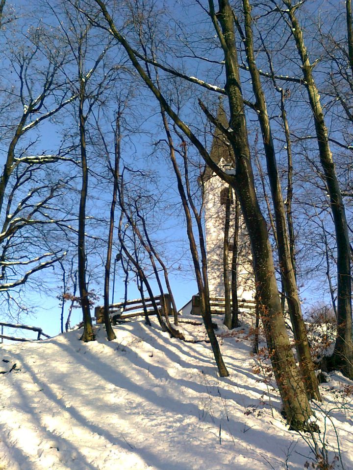 Natura - foto povečava