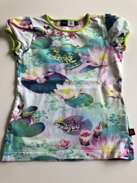Molo, št. 116, 6 €