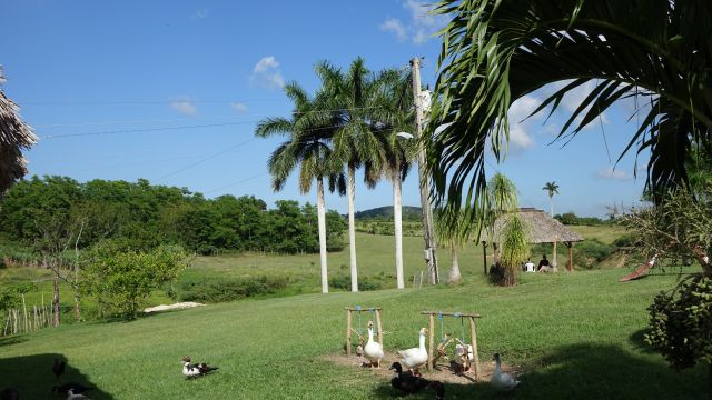 CUBA, HAVANA, VARADERO - foto