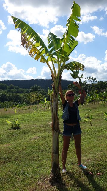 KOPIRANO CUBA, HAVANA, VARADERO - foto