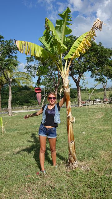 CUBA, HAVANA, VARADERO - foto