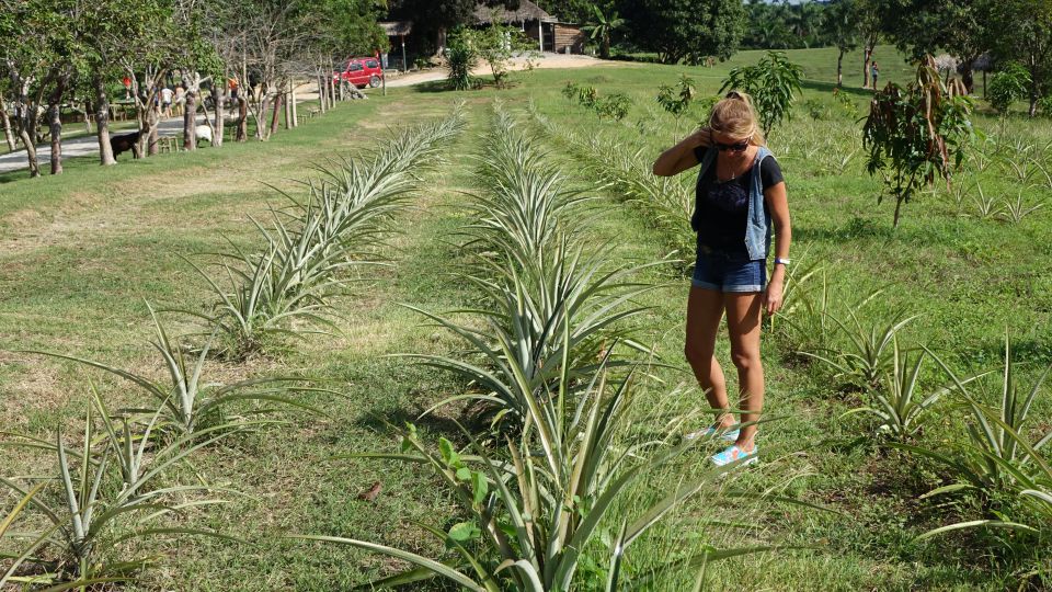 KOPIRANO CUBA, HAVANA, VARADERO - foto povečava