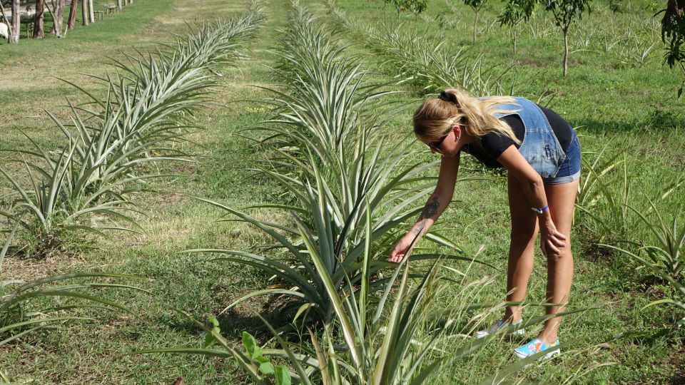 KOPIRANO CUBA, HAVANA, VARADERO - foto povečava