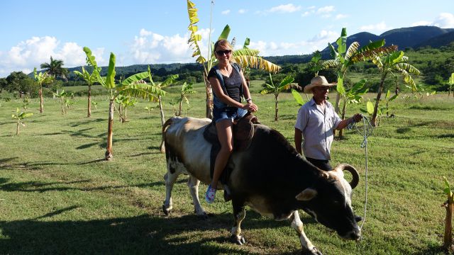 KOPIRANO CUBA, HAVANA, VARADERO - foto