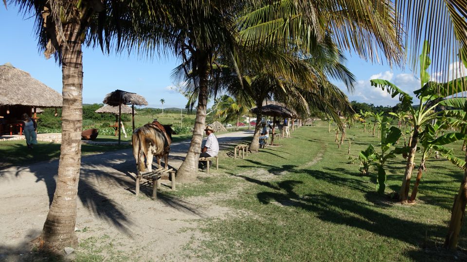 KOPIRANO CUBA, HAVANA, VARADERO - foto povečava