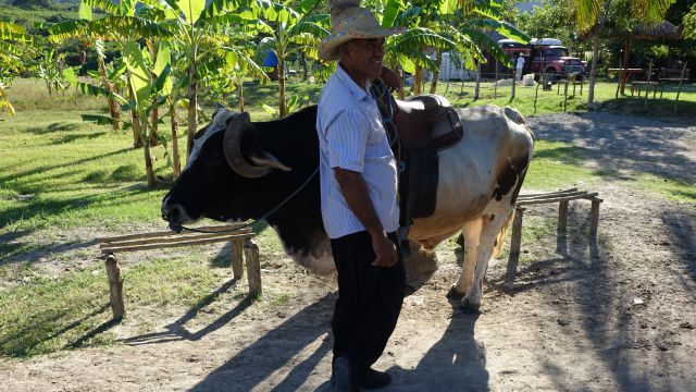 CUBA, HAVANA, VARADERO - foto