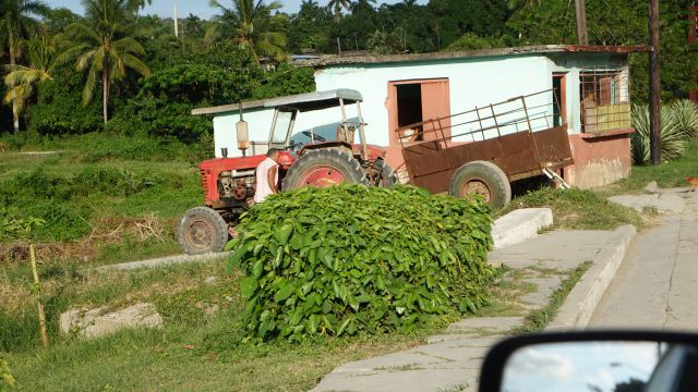 CUBA, HAVANA, VARADERO - foto