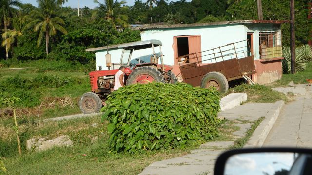 KOPIRANO CUBA, HAVANA, VARADERO - foto