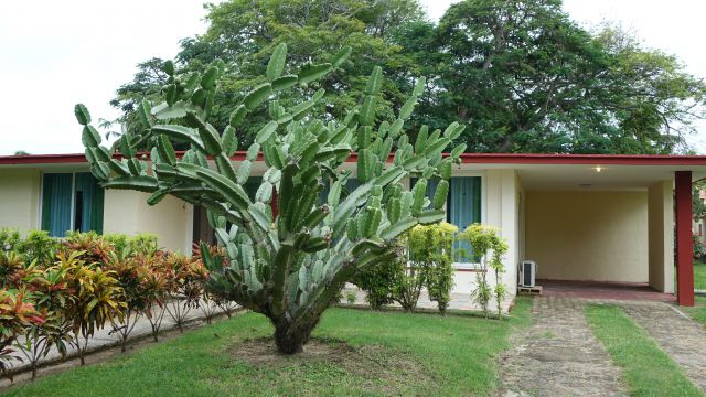 Cuba, prodolzhenie - foto