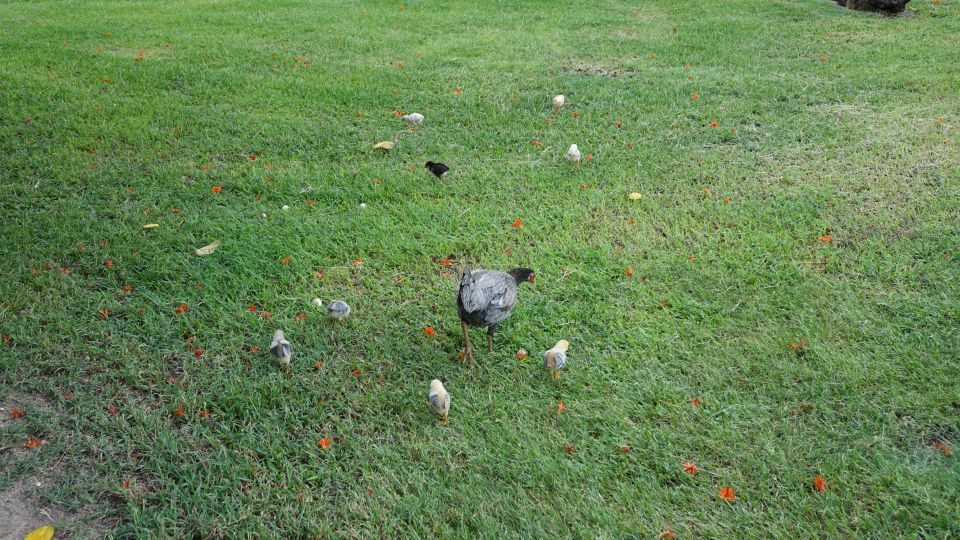 KOPIRANO Cuba, prodolzhenie - foto povečava