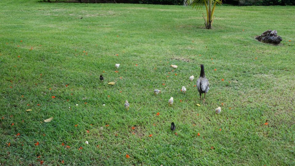 KOPIRANO Cuba, prodolzhenie - foto povečava