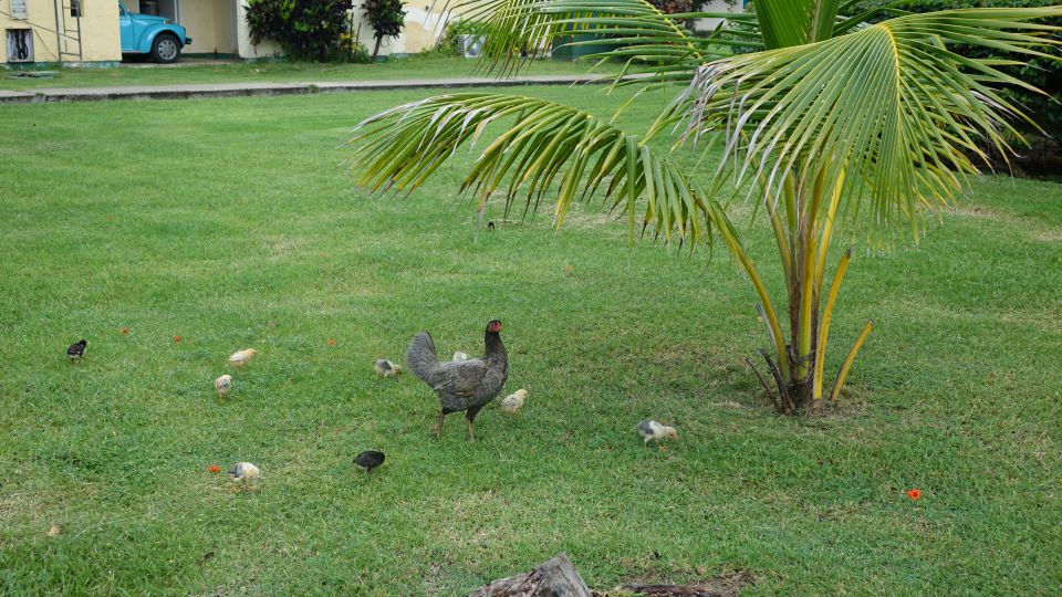 KOPIRANO Cuba, prodolzhenie - foto povečava