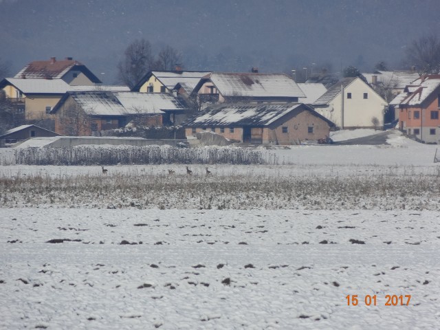 Poletje 2016 - pomlad 2017 - foto