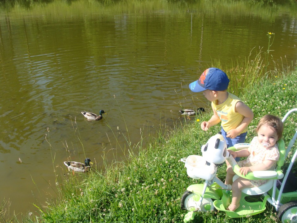 KOPIRANO Poletje 2014 - foto povečava