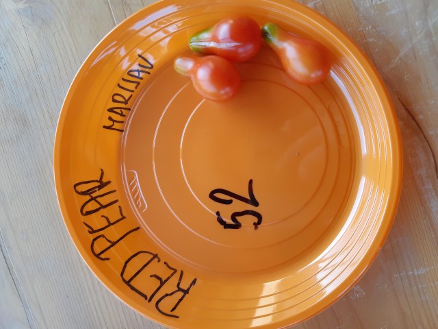 7.Paradajzmanija 10.8.2019 - foto