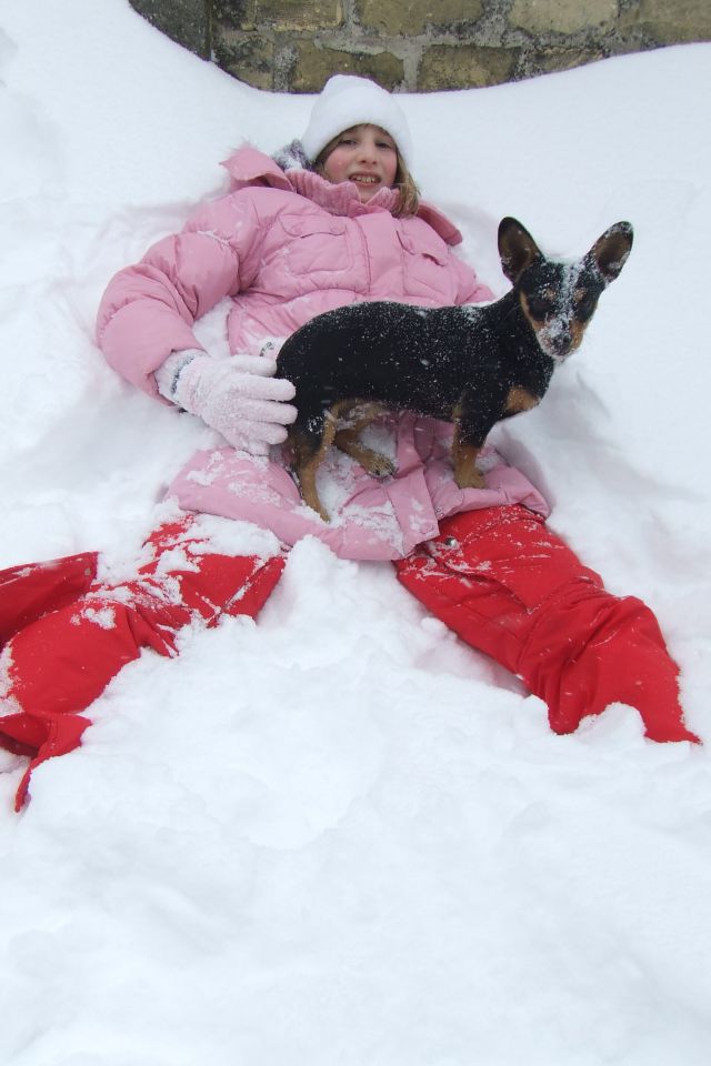 02.2012. sneg u Somboru - foto povečava