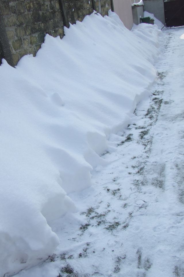 02.2012. sneg u Somboru - foto povečava