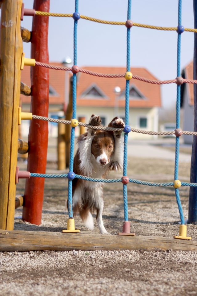 Yogobella at Real Pearl - Mee - foto povečava