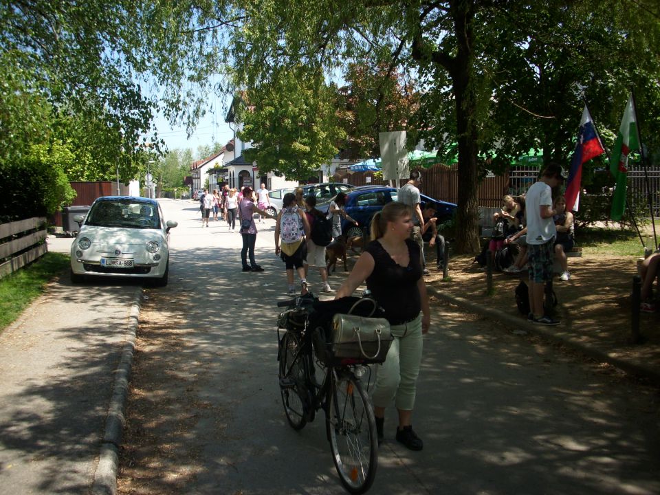 Pohod ob žici - maj 2012 - foto povečava